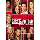 DVD - Box Grey's Anatomy: 4ª Temporada - 5 Discos