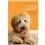 Livro - A Cabeça do Cachorro