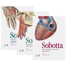 Livro - Atlas de Anatomia Humana - 3 Volumes - ...