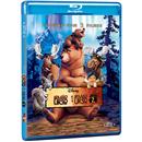 Blu-Ray - Irmão Urso - Coleção com 2 Filmes - B...