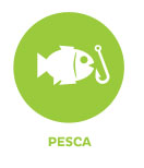 Pesca