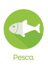 Pesca