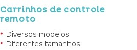 Carrinhos de controle remoto Diversos modelos Diferentes tamanhos