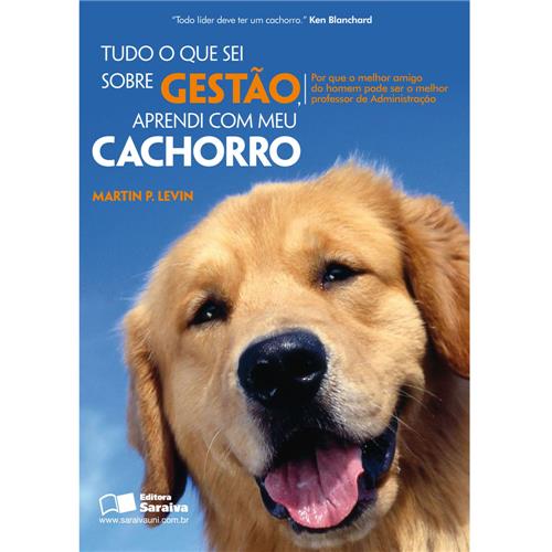 Tudo sobre o curso de administracao