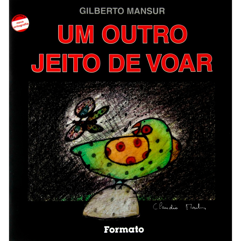 Resultado de imagem para resumo do livro um outro jeito de voar