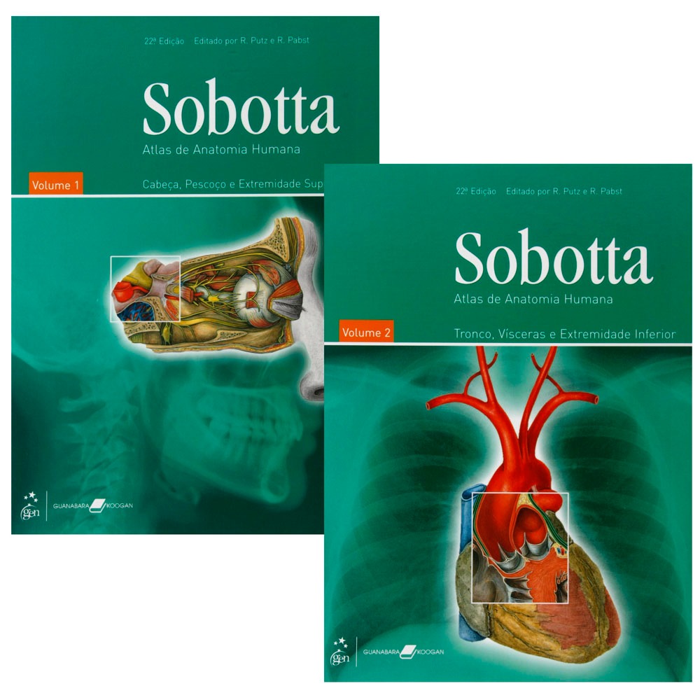 Livro atlas de anatomia humana