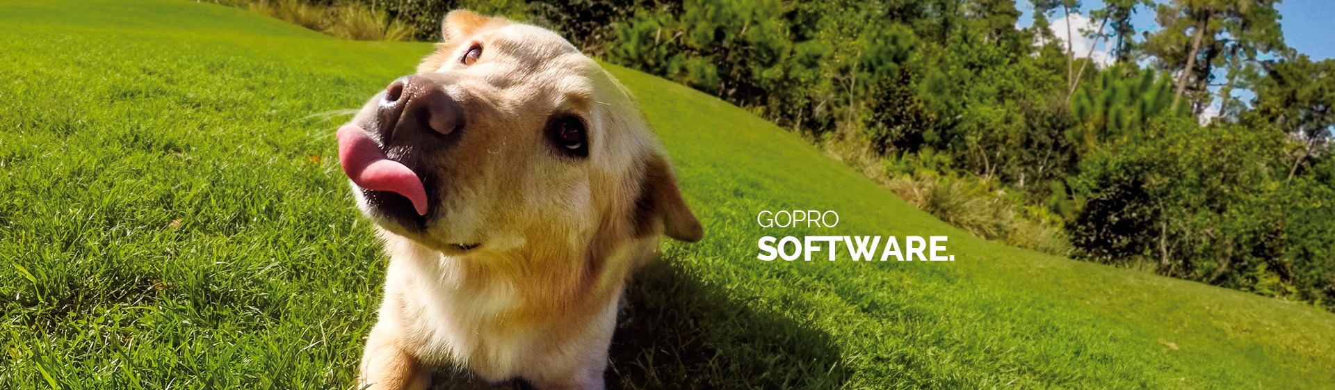 goPro software