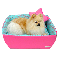 Pet Shop