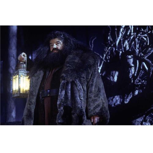 DVD - Harry Potter e a Pedra Filosofal: Edição Definitiva 