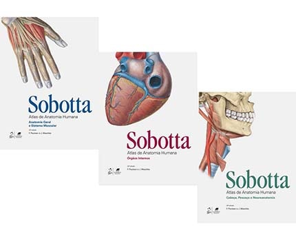 Coleção atlas de anatomia humana