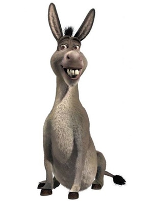 Burro falante