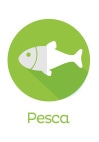 Pesca