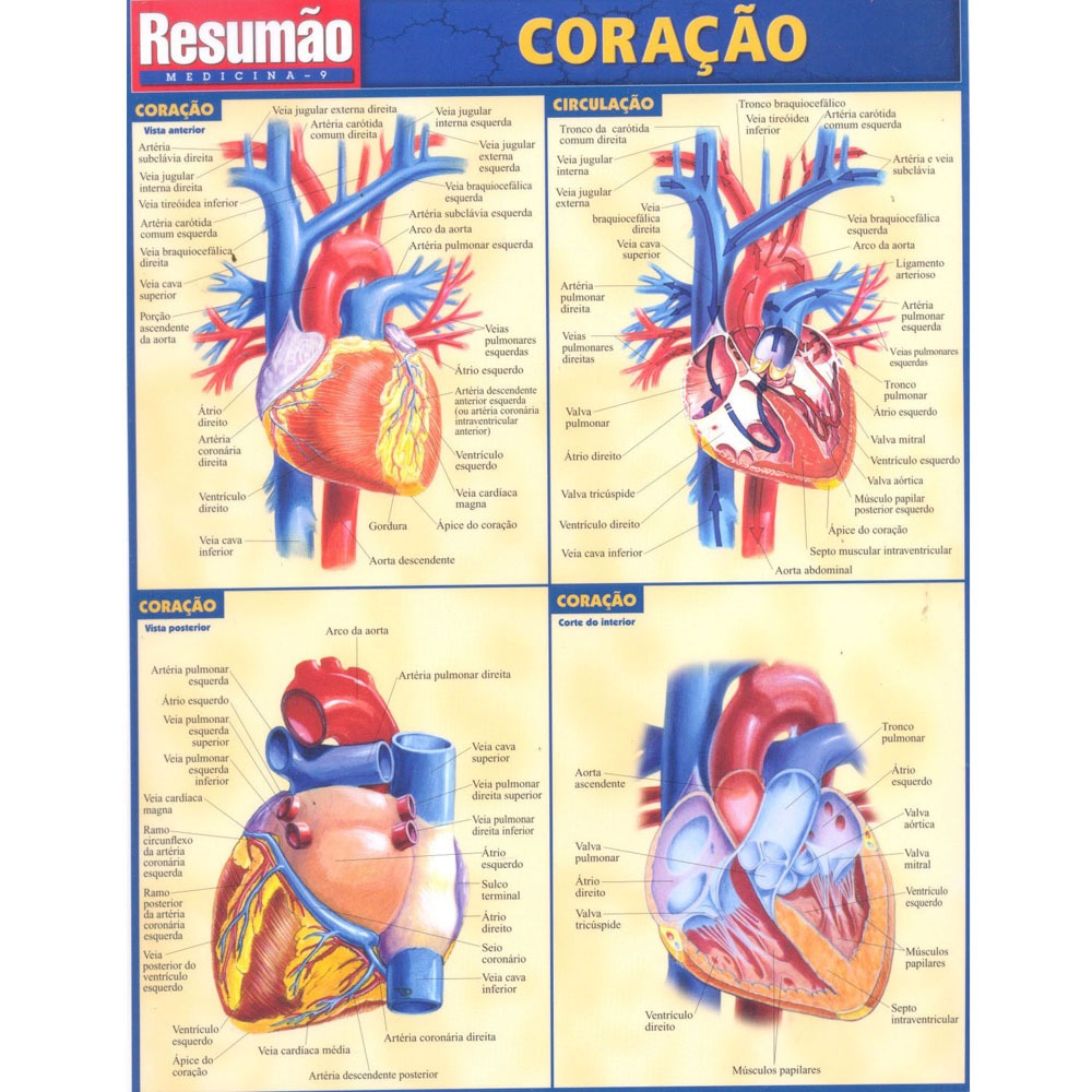 Livro - Resumão Medicina 9 - Coração - Vicent Perez ...
