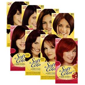 Vermelho borgonha soft color palette Vermelho borgonha soft color palette